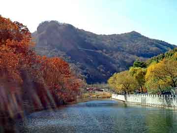 爱上海：Revisiting ancient poems, Shanghai's backyard garden invites you to sense the poetry of nature!