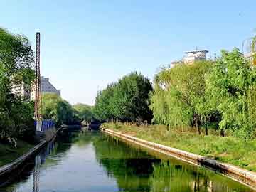 爱上海：The weeping willows by the lake are reflected in the clear waves